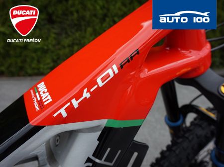 Ducati TK-01 RR, veľkosť L