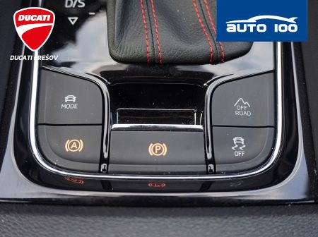 Škoda Kodiaq 2.0 TDI RS 4x4 176kW DSG7