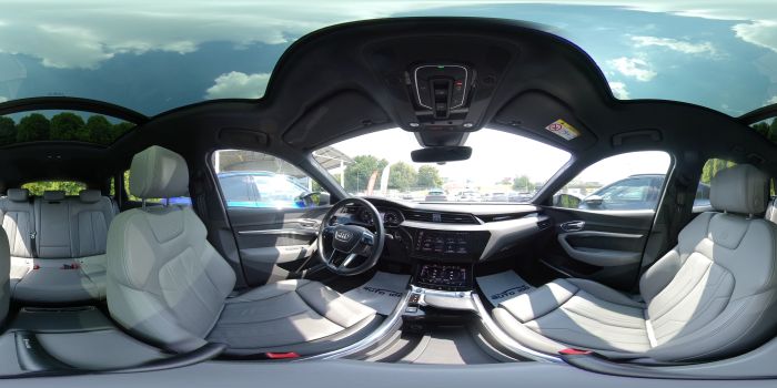 Audi e-tron S line quattro 55 electric 300kW, SoH 95,5%