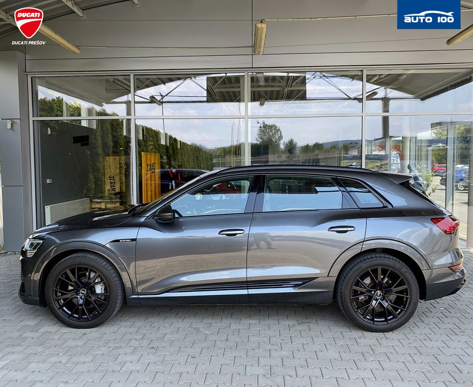 Audi e-tron S line quattro 55 electric 300kW, SoH 95,5%